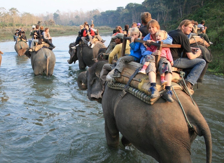 Chitwan Jungle Safari Tour: 3-Day Chitwan National Park Tour