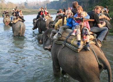 Safari por la jungla de Chitwan: recorrido de 3 días por el Parque Nacional...