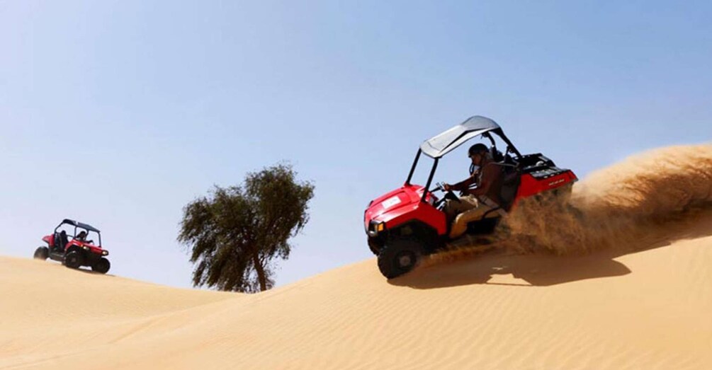 Picture 2 for Activity Dune Buggy Desert Safari from Sharm el Sheikh