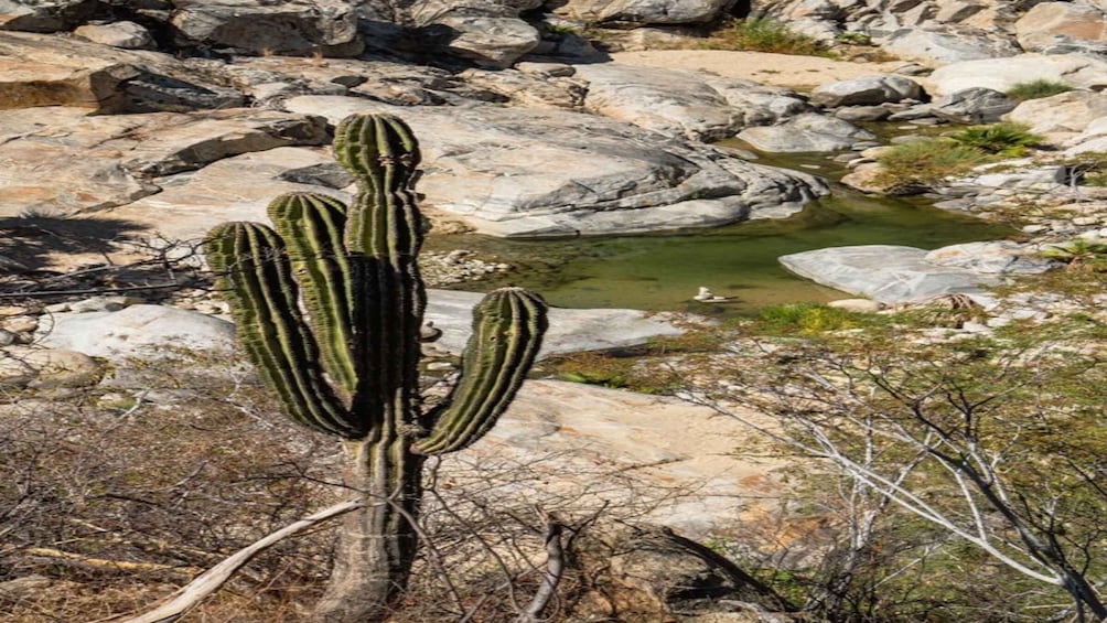 Sol de Mayo Oasis: Explore Natural Springs and Charming Town