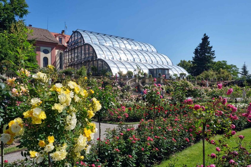 Picture 4 for Activity Konstanz: Mainau Island Entry Ticket