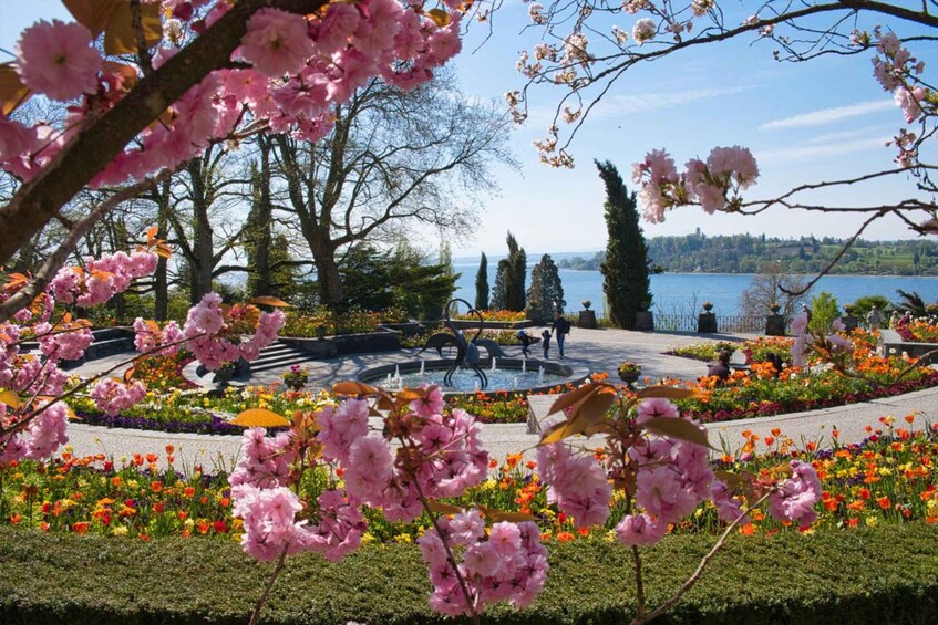 Picture 3 for Activity Konstanz: Mainau Island Entry Ticket