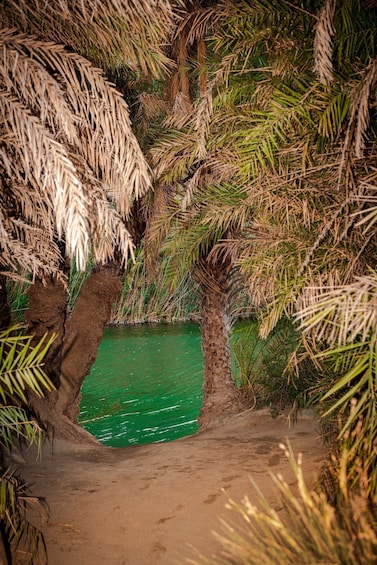 Picture 7 for Activity From Chania: Day Trip to Preveli Beach & Damnoni Beach