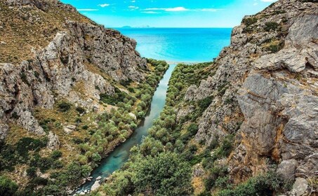 Fra Chania: Dagstur til Preveli-stranden og Damnoni-stranden