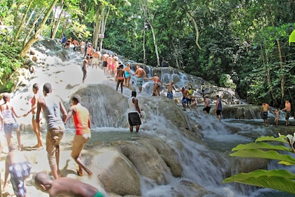 Montego Baysta: Dunn's River Falls Experience