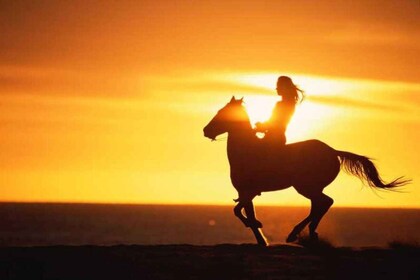 Agadir and Taghazout: 2-Hour Sunset Beach Horseback Ride