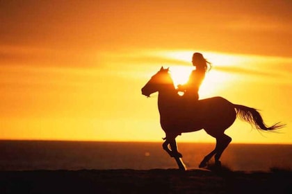 Agadir and Taghazout: 2-Hour Sunset Beach Horseback Ride