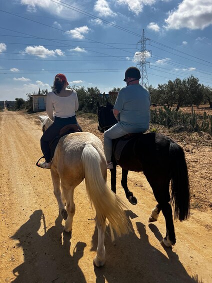 Picture 4 for Activity Sousse/Monastir: Private Horseback Riding Trip with Transfer