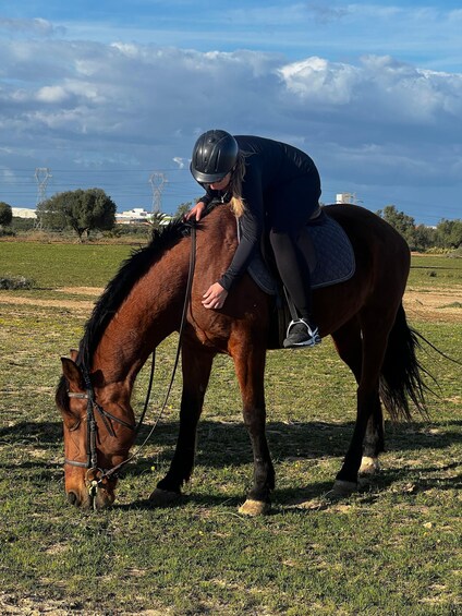 Picture 14 for Activity Sousse/Monastir: Private Horseback Riding Trip with Transfer