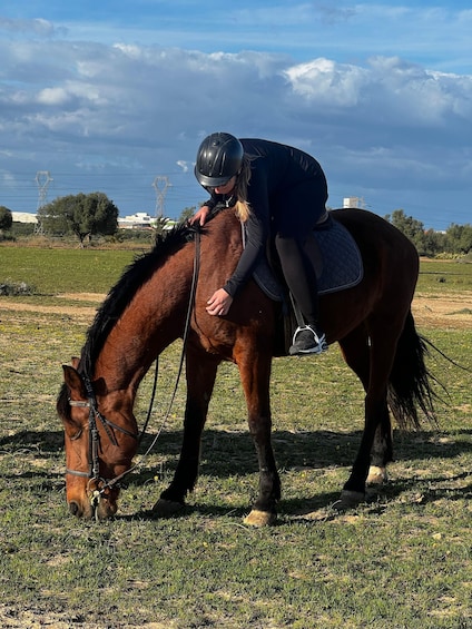 Picture 14 for Activity Sousse/Monastir: Private Horseback Riding Trip with Transfer