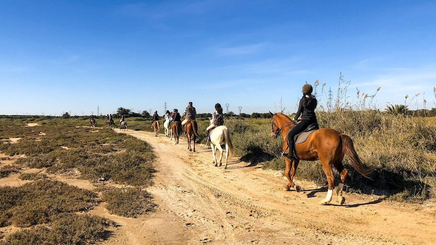 Sousse/Monastir: Private Horseback Riding Trip with Transfer