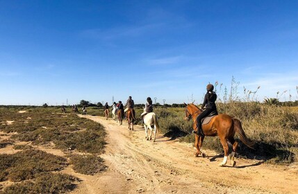 Sousse/Monastir: Private Horseback Riding Trip with Transfer