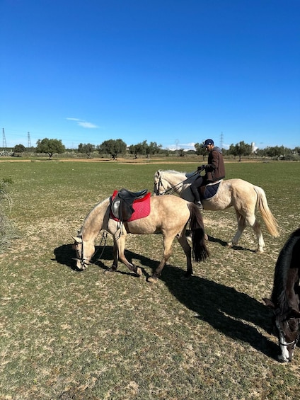 Picture 9 for Activity Sousse/Monastir: Private Horseback Riding Trip with Transfer