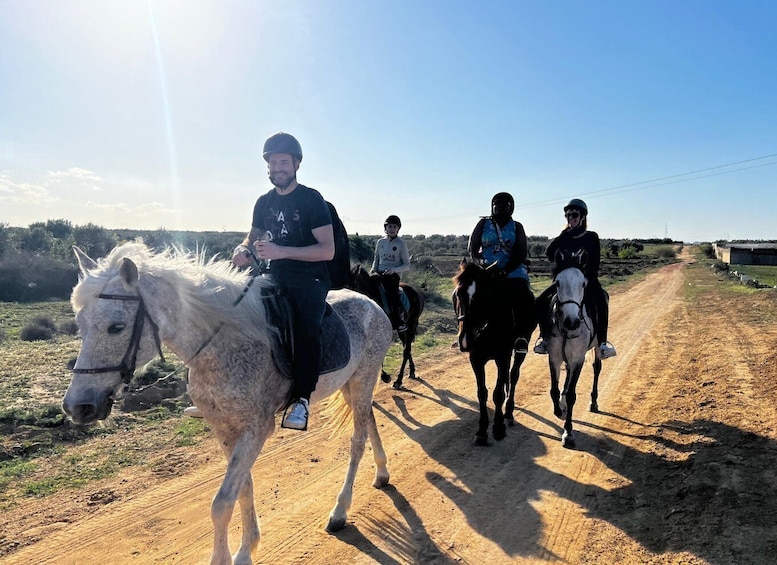 Picture 7 for Activity Sousse/Monastir: Private Horseback Riding Trip with Transfer