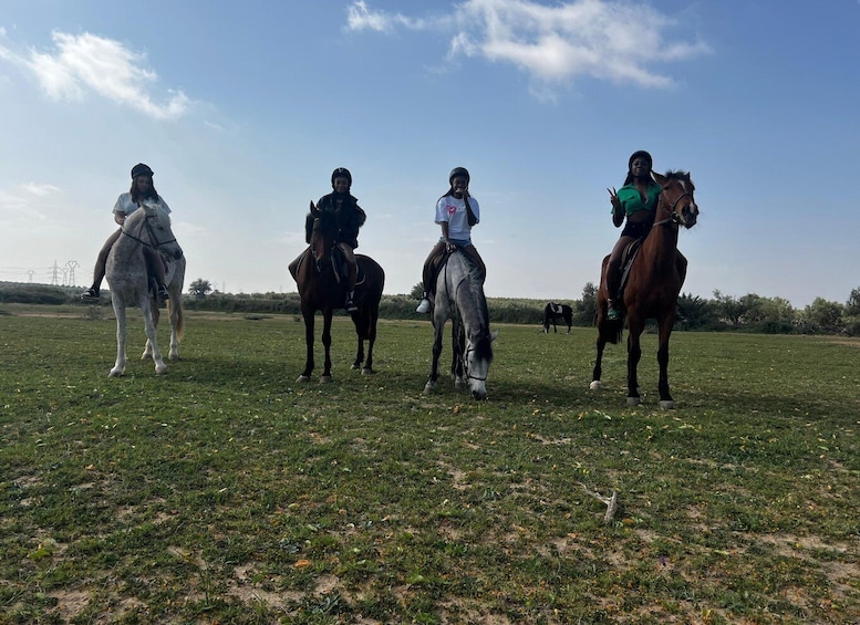 Picture 11 for Activity Sousse/Monastir: Private Horseback Riding Trip with Transfer