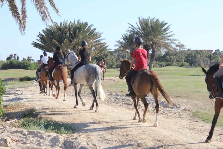 Sousse/Monastir: Private Horseback Riding Trip with Transfer