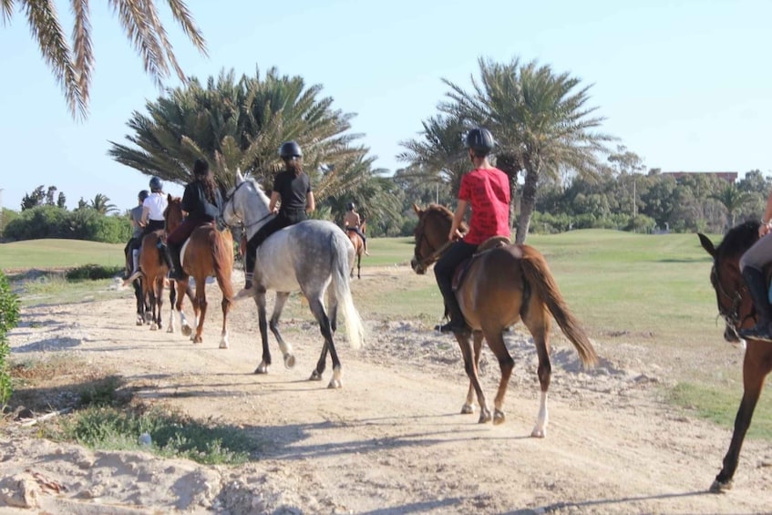 Picture 1 for Activity Sousse/Monastir: Private Horseback Riding Trip with Transfer