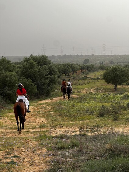 Picture 1 for Activity Sousse/Monastir: Private Horseback Riding Trip with Transfer