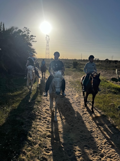 Picture 8 for Activity Sousse/Monastir: Private Horseback Riding Trip with Transfer