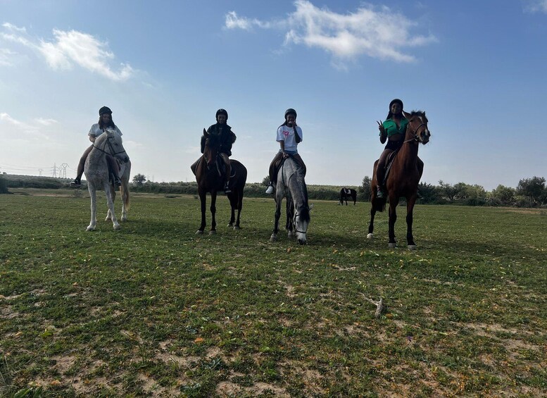 Picture 11 for Activity Sousse/Monastir: Private Horseback Riding Trip with Transfer