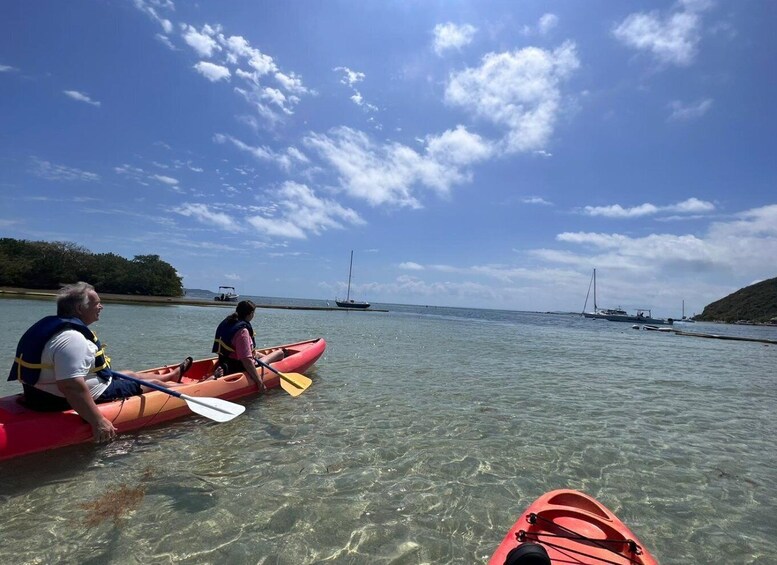 Picture 4 for Activity Kayak and Snorkeling Eco- Experience with Snack and Drinks