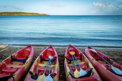 Fajardo: Kayak and Snorkeling Eco-Experience