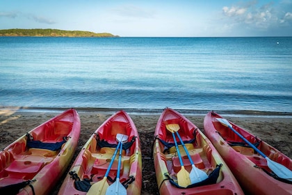 Kayak and Snorkelling Eco- Experience with Snack and Drinks