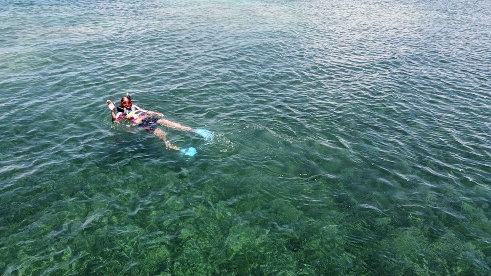 Picture 2 for Activity Kayak and Snorkeling Eco- Experience with Snack and Drinks