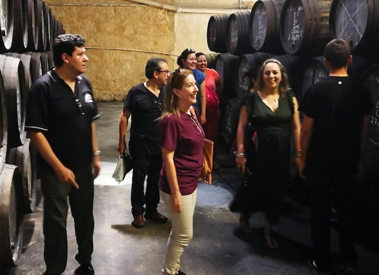 Full day private tour of Olive Oil , Salt Flats and Winery