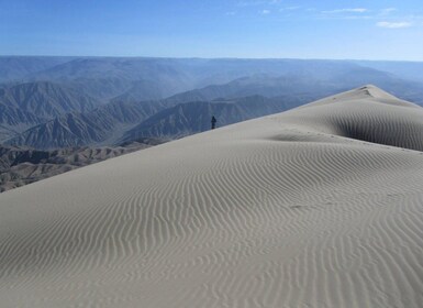 Excursie naar de baai van San Fernando + Sandboarden in Nazca