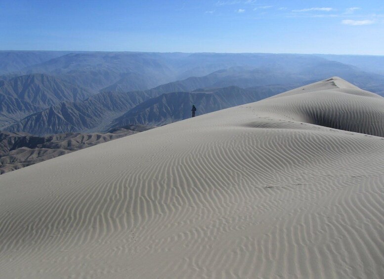 Excursion to San Fernando bay + Sandboarding in Nazca