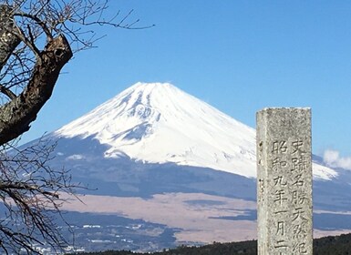 Hike Hakone Hachiri Japan Heritage Area