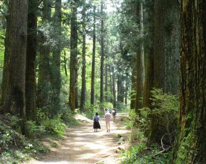 Picture 6 for Activity Hike Hakone Hachiri Japan Heritage Area