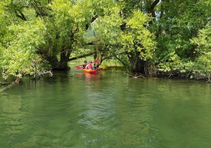 Picture 1 for Activity Adda River: Half day Kayak Trip