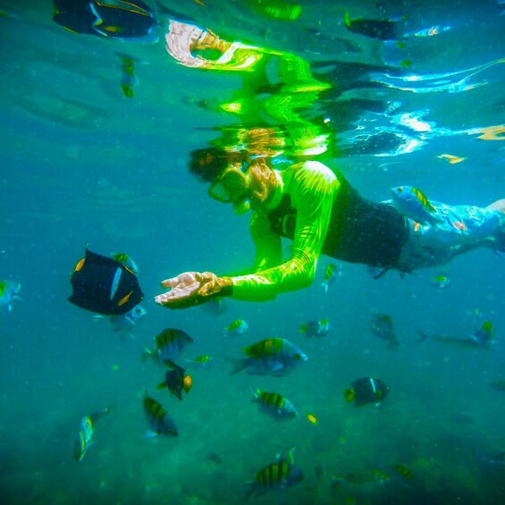 Picture 9 for Activity Puntarenas: Tortuga Island Snorkeling and Speed Boat Tour