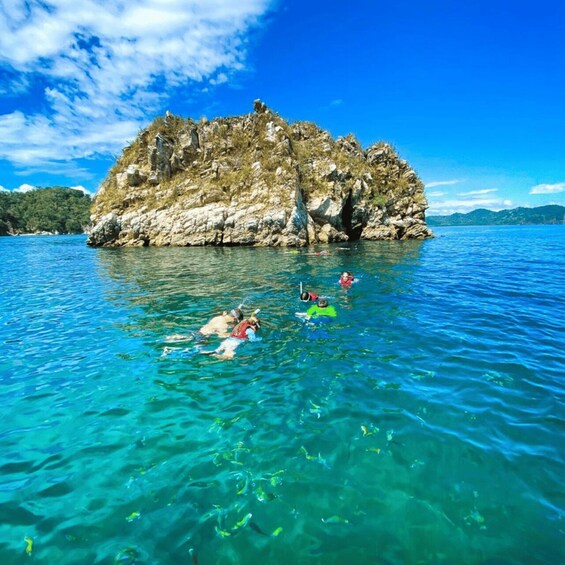 Picture 6 for Activity Puntarenas: Tortuga Island Snorkeling and Speed Boat Tour