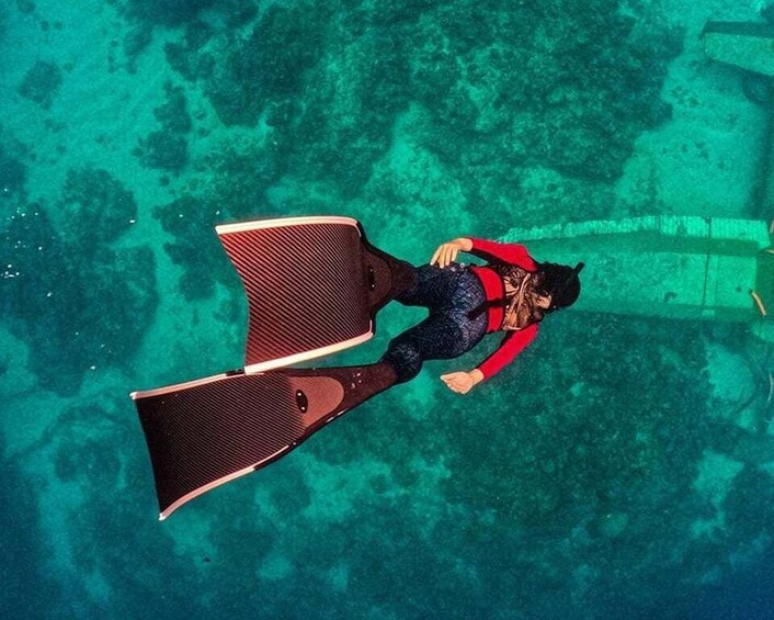 Panglao: Freediving at the South Palms Plane Wreck