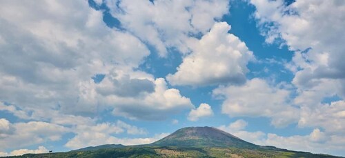 Vesuvio Tour with entrance ticket included