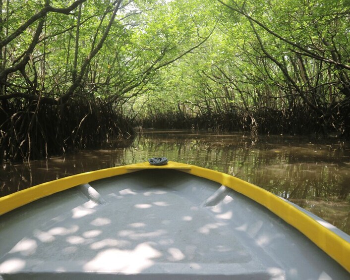 Picture 4 for Activity Mangrove Day Tour - Bintan