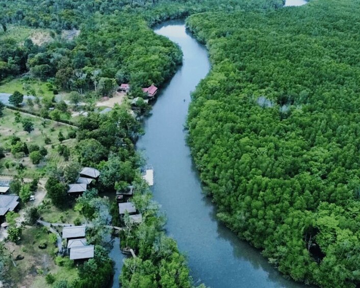 Picture 1 for Activity Mangrove Day Tour - Bintan