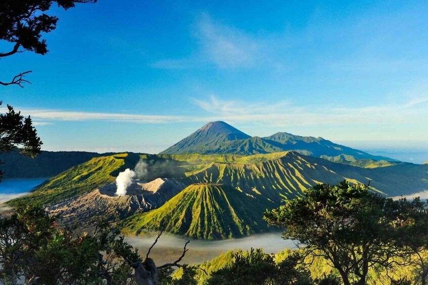 Picture 18 for Activity From Yogyakarta or Bali: 3-Day Bromo & Ijen Volcano Trip