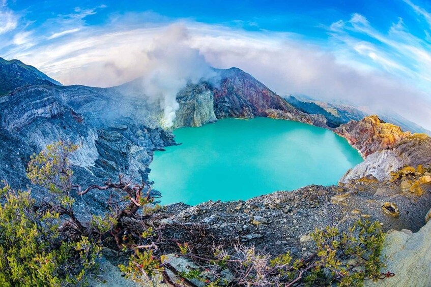 Picture 6 for Activity From Yogyakarta or Bali: 3-Day Bromo & Ijen Volcano Trip