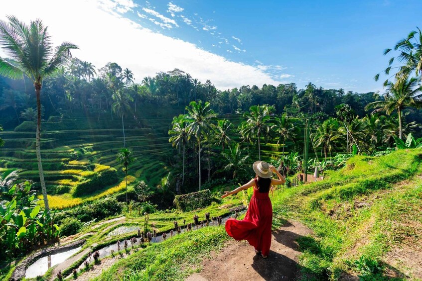 Picture 15 for Activity Bali's Waterfall Wonders: Exploring Nature's Masterpieces