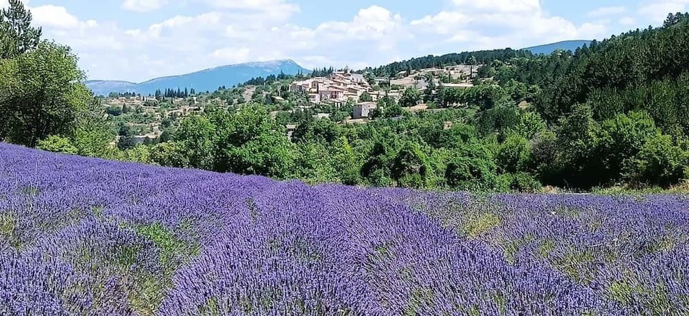 Picture 5 for Activity Gorges du Verdon & Plateau de Valensole