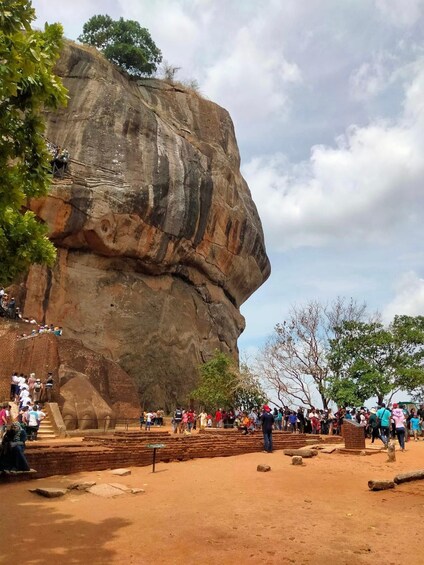 Picture 3 for Activity Negombo: Sigiriya Rock and Minneriya National Park Day Tour
