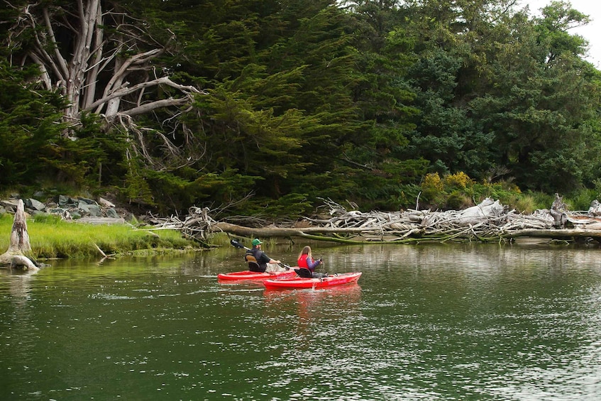 Picture 4 for Activity Brookings: Chetco River Kayak Tour