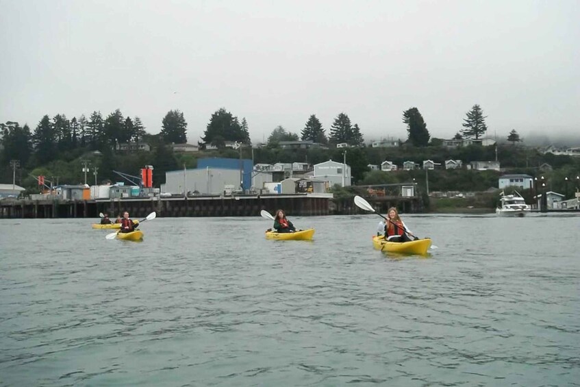 Picture 2 for Activity Brookings: Chetco River Kayak Tour