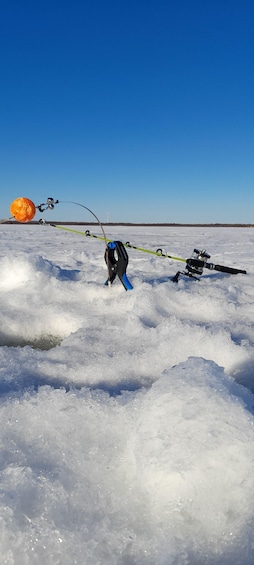 Picture 9 for Activity Ii: Fascinating Bait Fishing for Northern Pike on Sea Ice