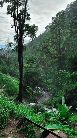 Picture 3 for Activity Full day visit to hotsprings, waterfalls and coffee tour