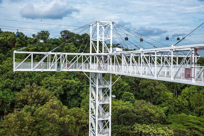 Picture 3 for Activity Singapore: Skypark Sentosa by AJ Hackett